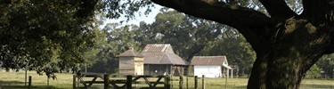 Outbuildings at Oakland